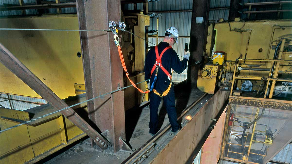 Multi Span Lifelines Cranes Flexible Lifeline Systems