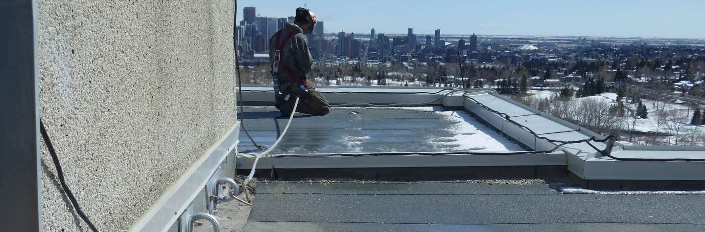 Single Point Fall Protection Anchors | Flexible Lifeline Systems